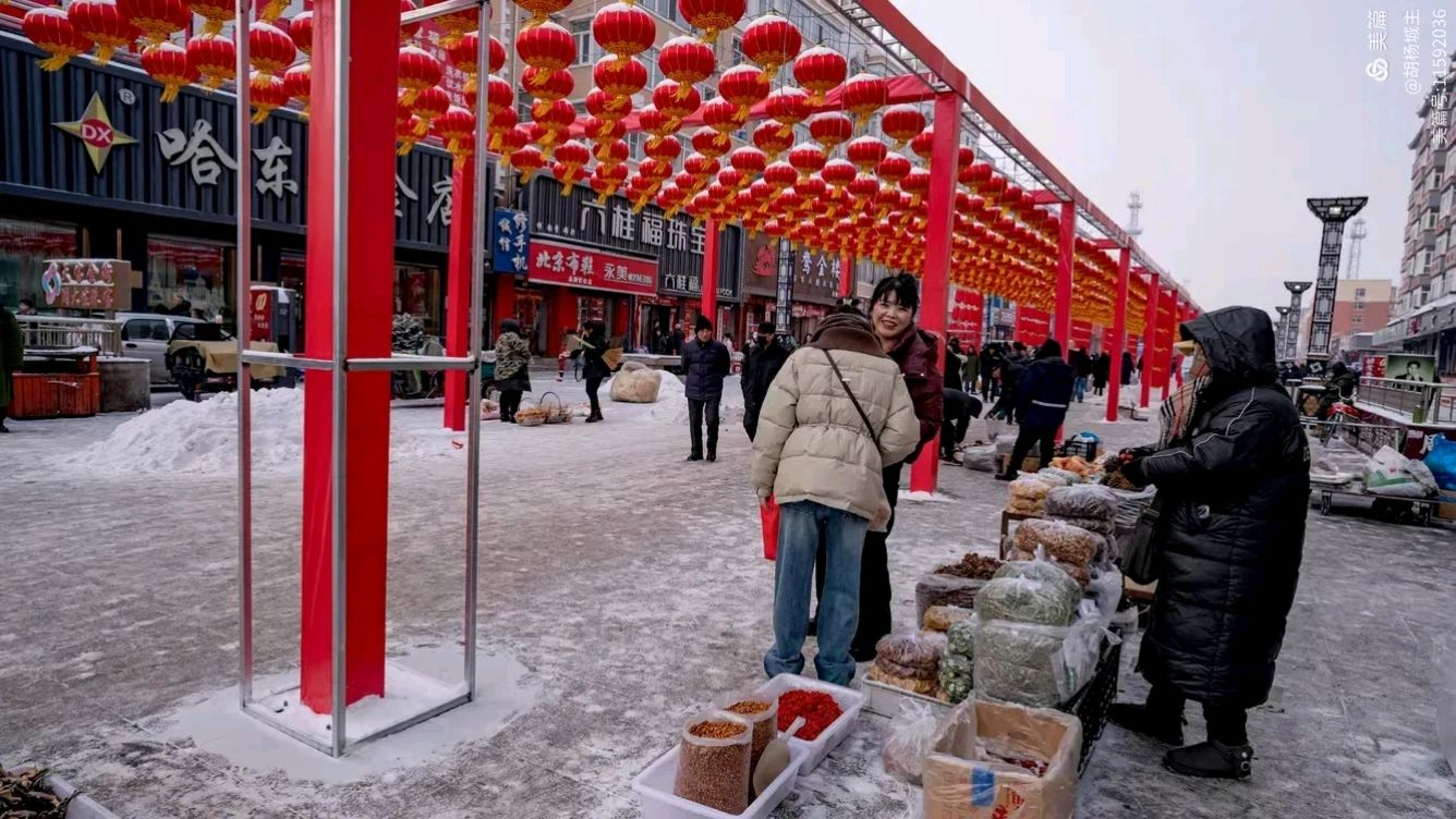 贺岁诗词（之四）：张淑华《欢度春节》‖巴彦诗词楹联协会【838】（图4）