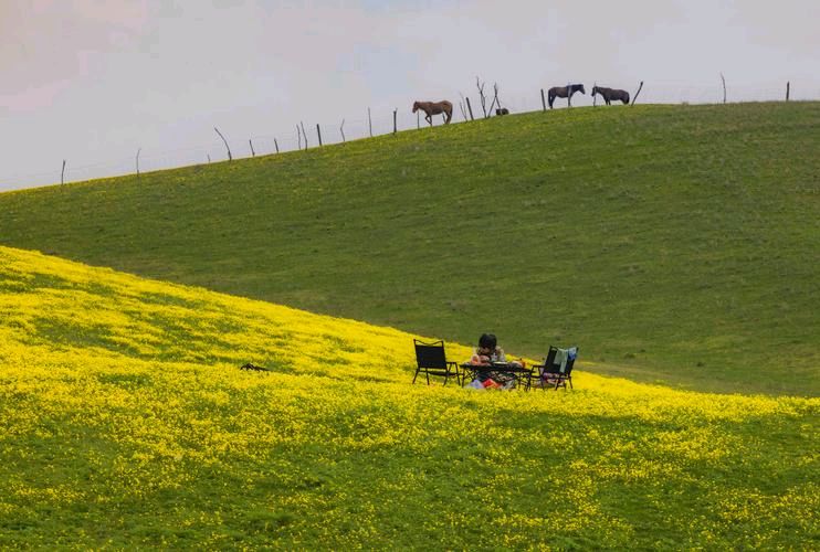 江南诗絮《新春二人转》（图5）