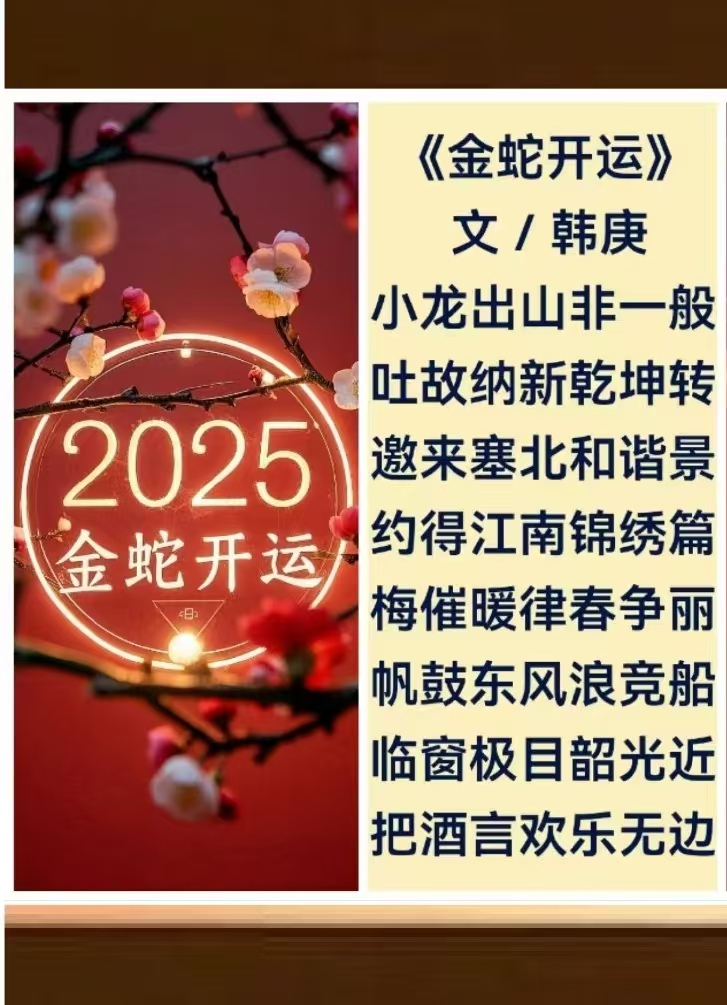韩庚的《金蛇开运》