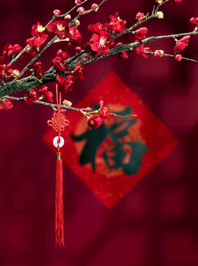 【晨露诗刊】除夕专刊(图4)