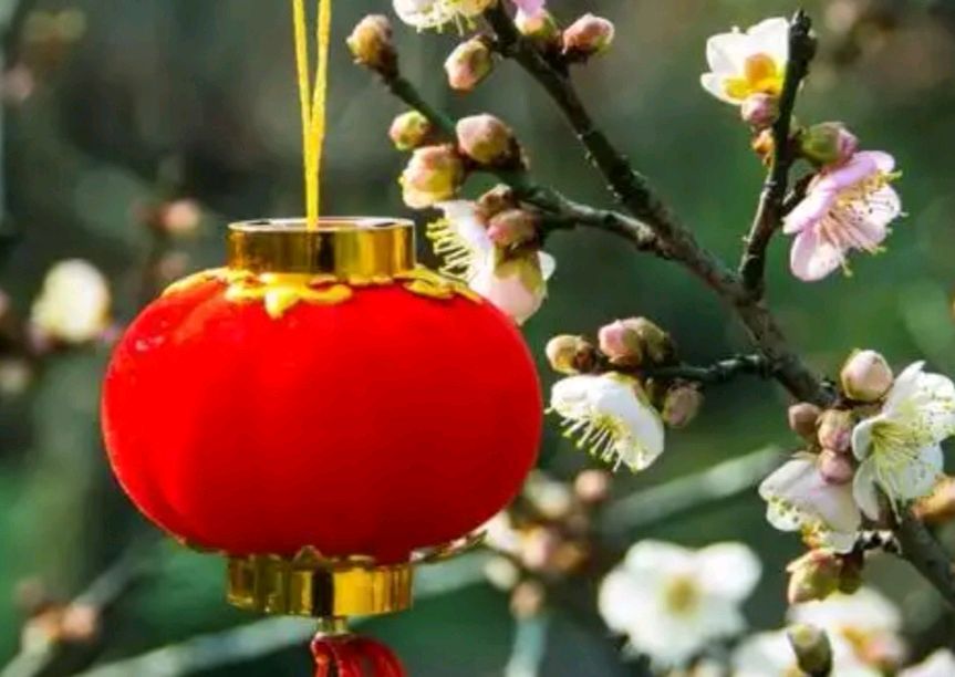 773墨林诗选:春 节(图4)