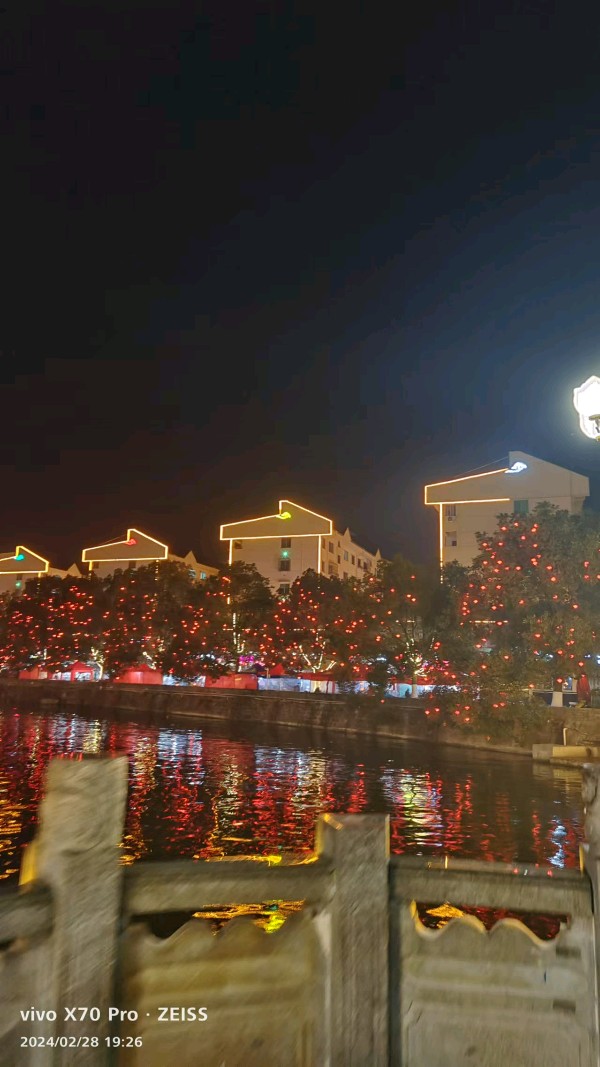 诗词雅韵 杨占礼诗歌 欢度新年（图3）