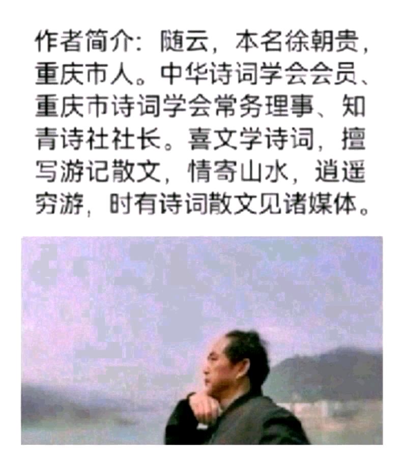 庆春时•辞旧迎新 作者：随云【重庆格律诗词曲】2025第030期