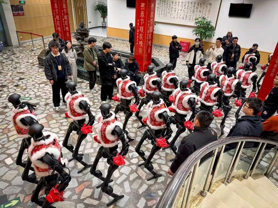 【新年放歌】杨武军//观央视春晚有感[2025新春佳节作品展]（图6）