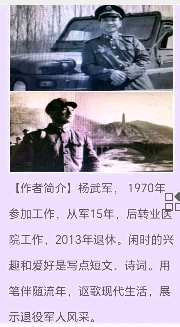 【新年放歌】杨武军//观央视春晚有感[2025新春佳节作品展]（图7）