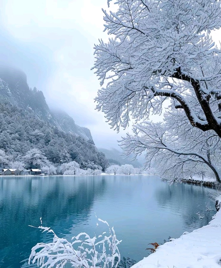 新春抒怀（图7）