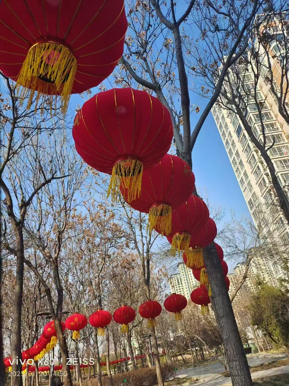 【国学雅韵社】七律·大年初二袁兆姝（大玉儿）（图5）