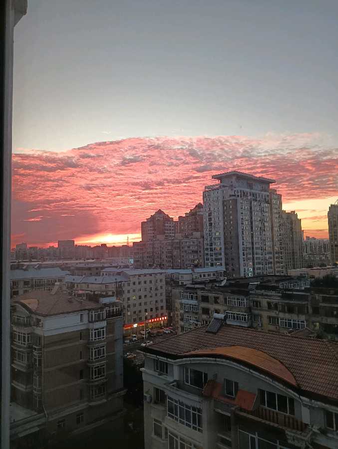 崔广田摄影《春节吉祥照》‖逸风文苑～哈尔滨头条（图19）