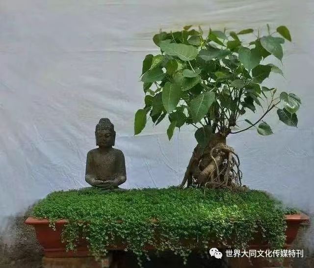 《鹰暮穷途》（一百零九）作者/三木秉风（周凤森）（图7）