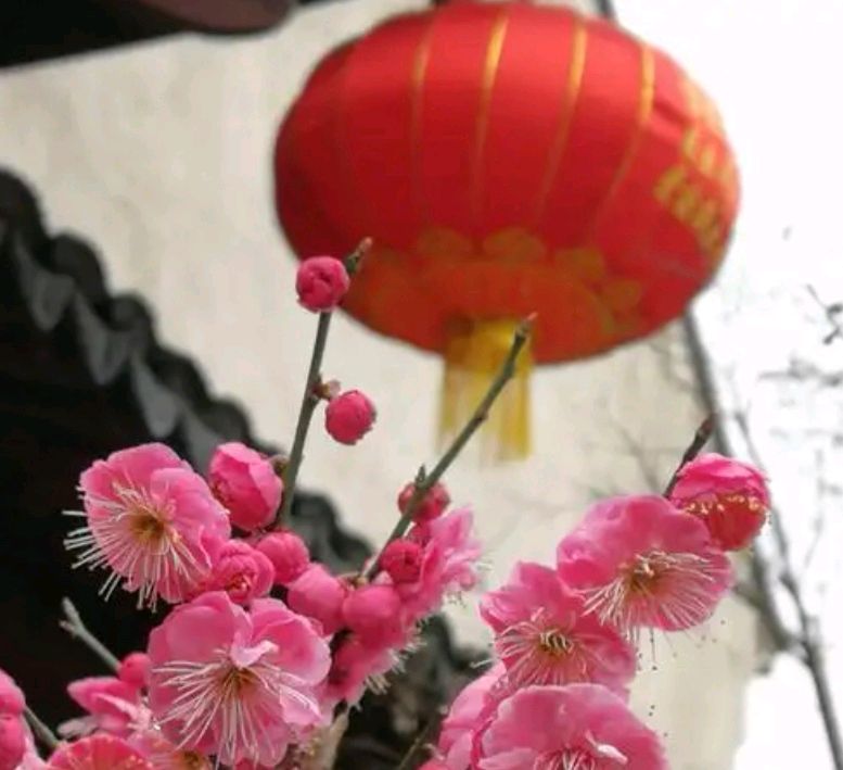 777沈守华诗选：迎 春（图4）