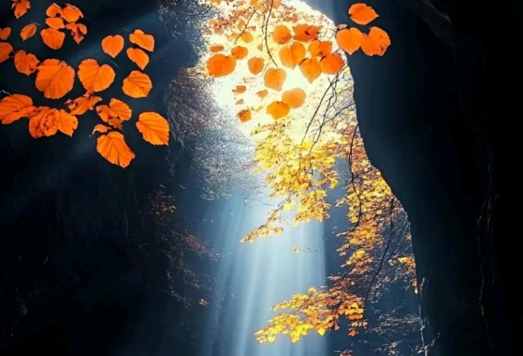 煤