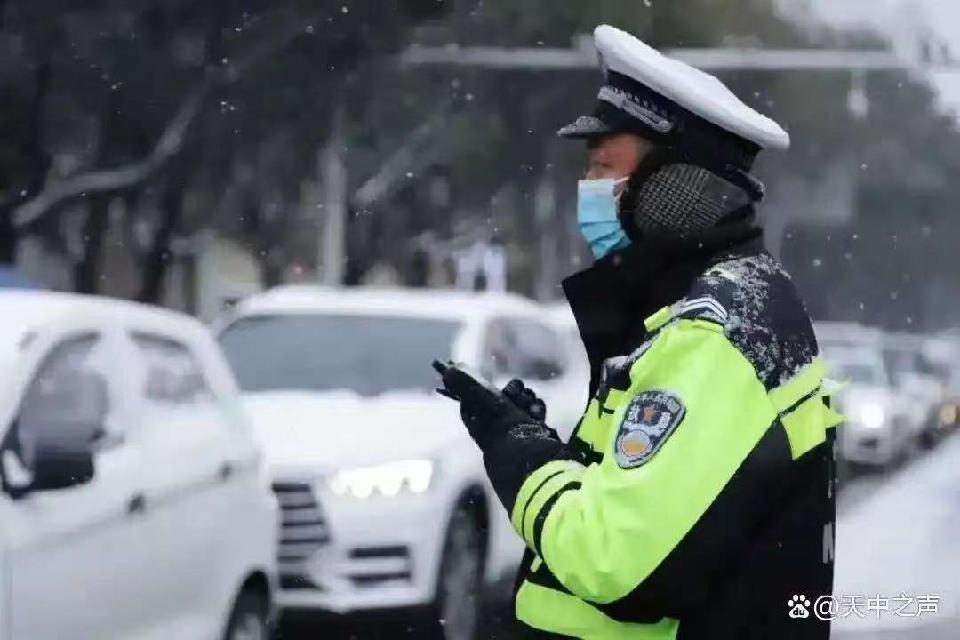 健康是福的《七绝 大年初三逢雪》