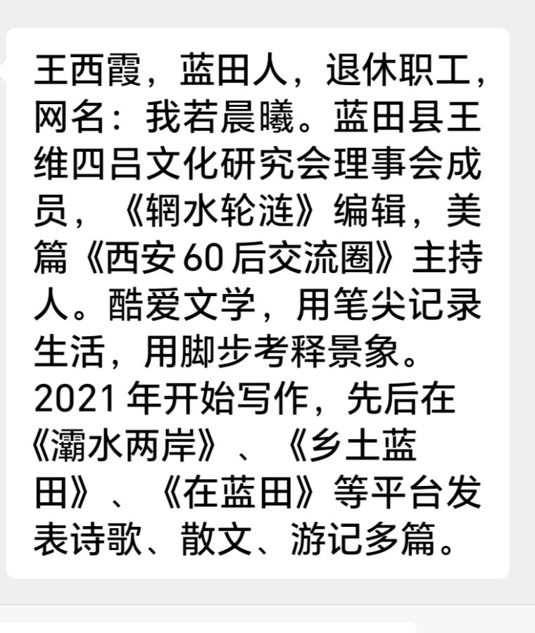 王西霞//穿越千年 邂逅王维（图8）