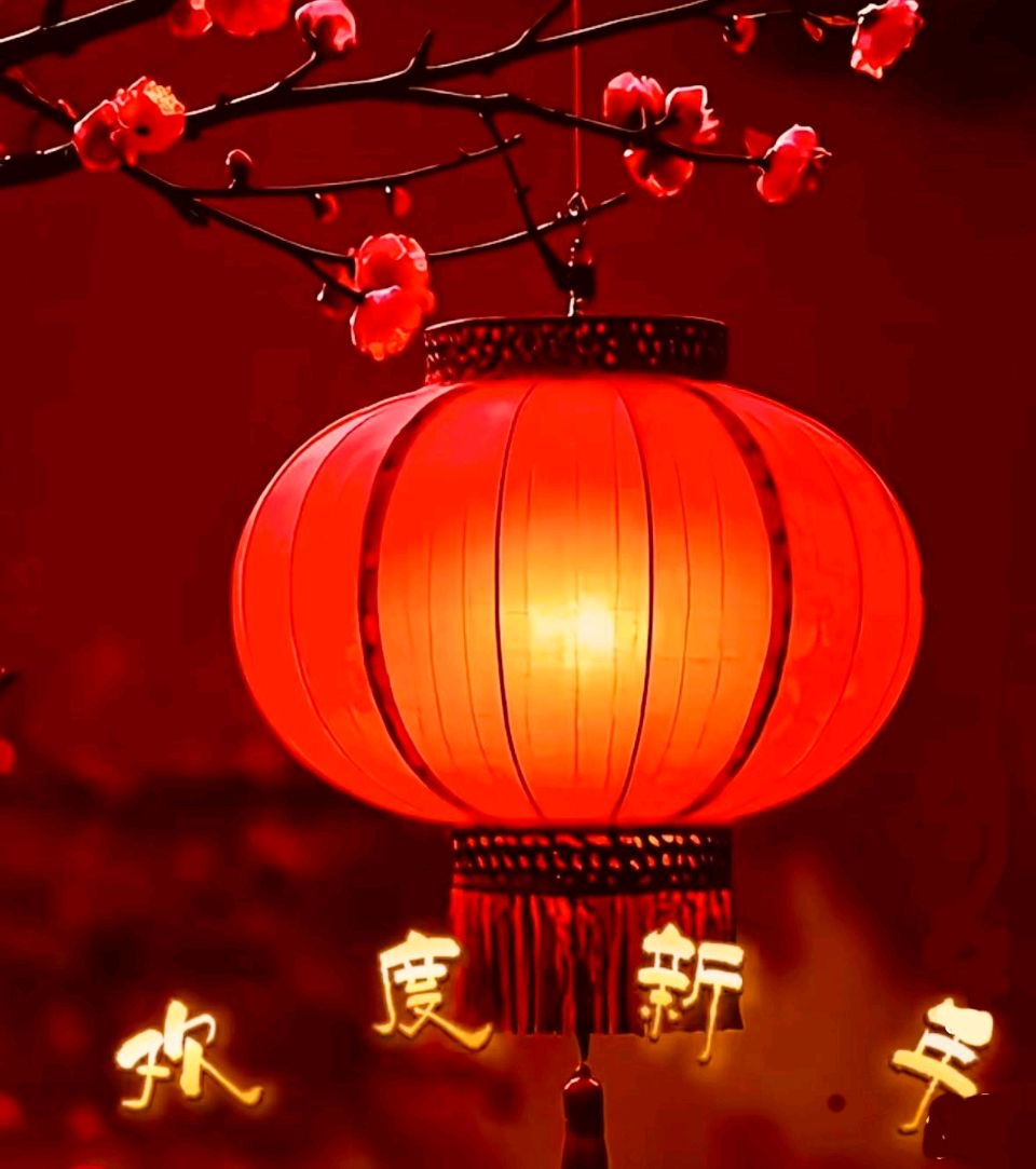 《人》：作者||玉兰｜海外头条（图5）