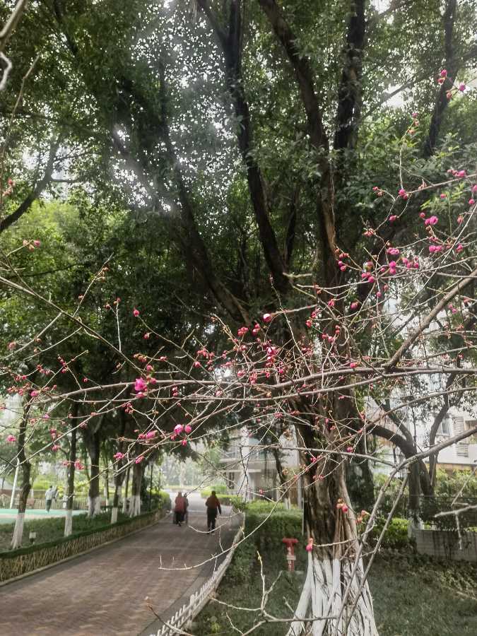 「散文诗」春天醒了(图3)
