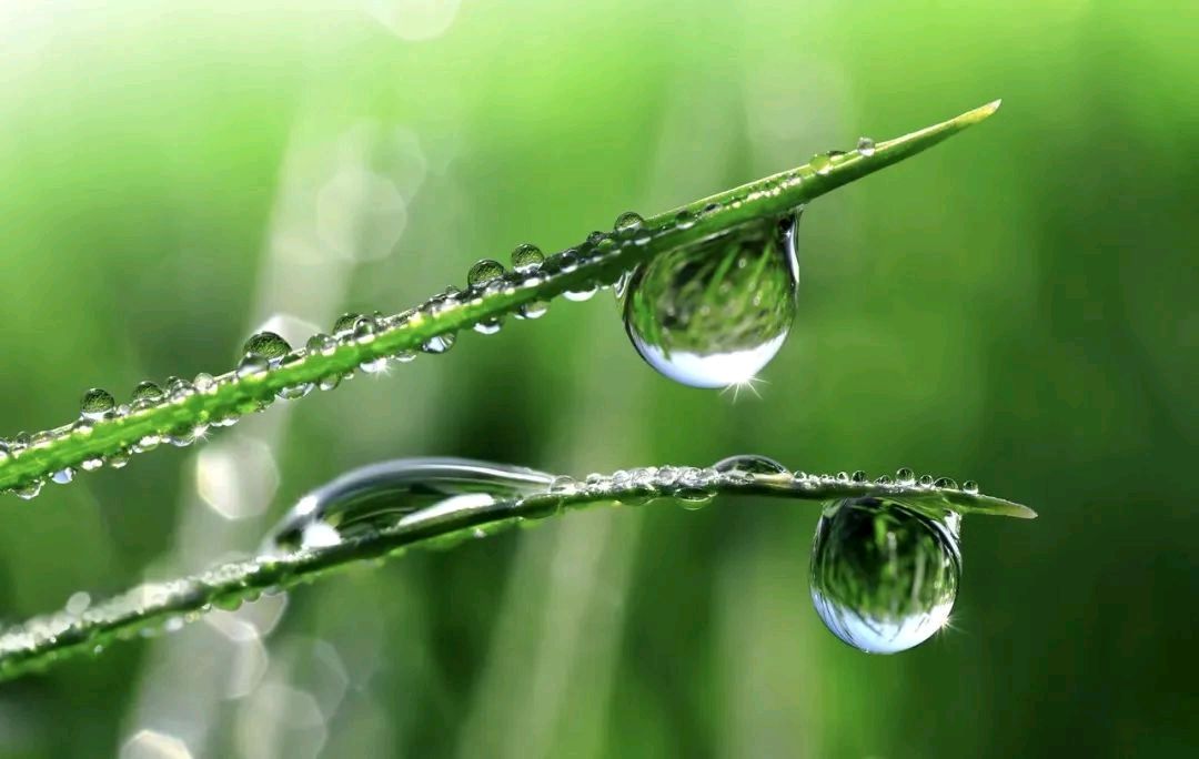 七律．春雨（二首）/作者：春华秋实（图3）