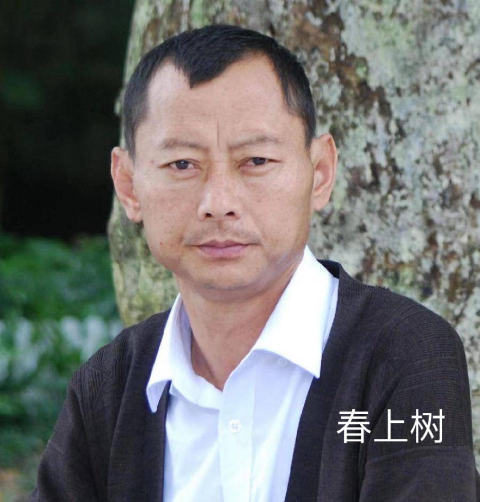 春上树：《每一抹浓影都是归乡的背影》海外头条（图6）