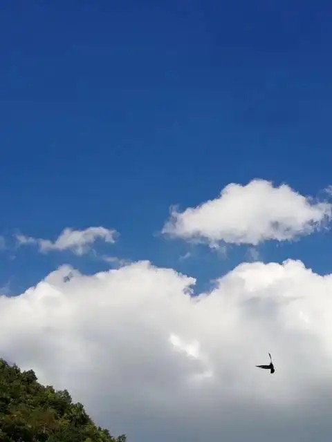 周军：《莫让离步，挽留住时光轻影》海外头条（图5）