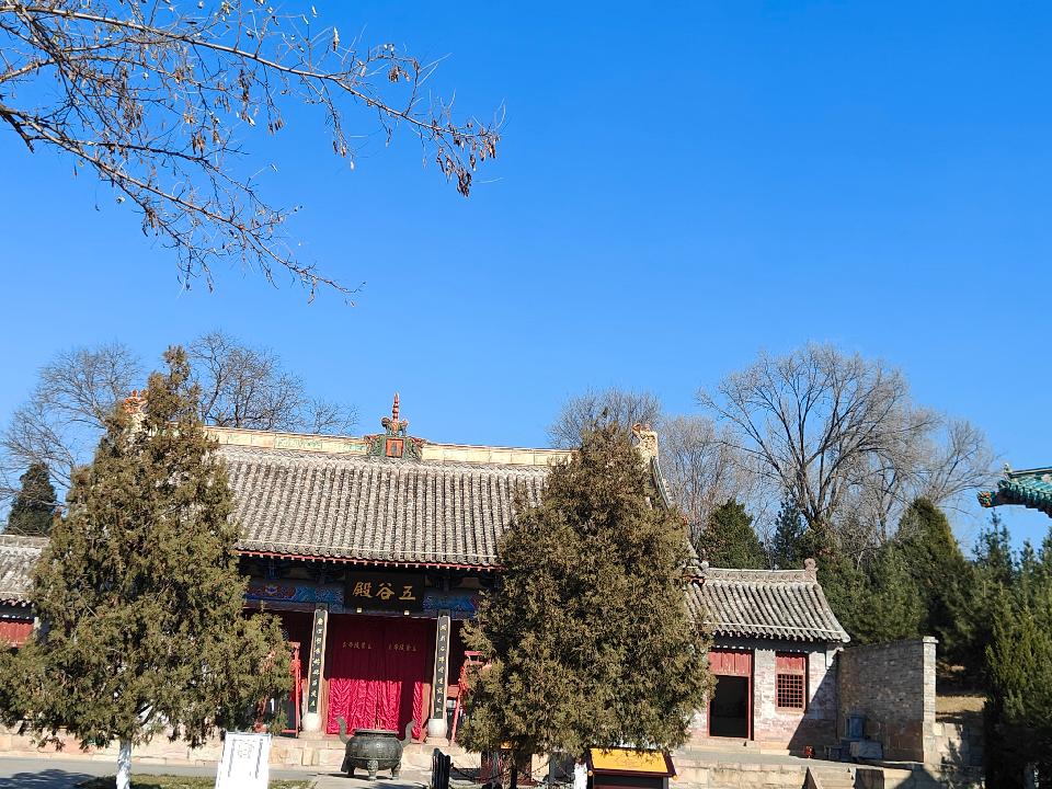 陈丙现：《五谷庙》海外头条（图5）