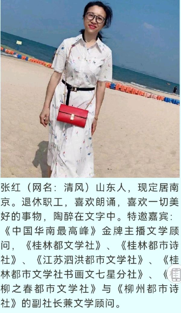 王英女士的《2025年合肥首届逍遥津新春灯会》/南京金牌主播清风//桂林都市文学社第1242期.桂林头条.都市头条（图15）