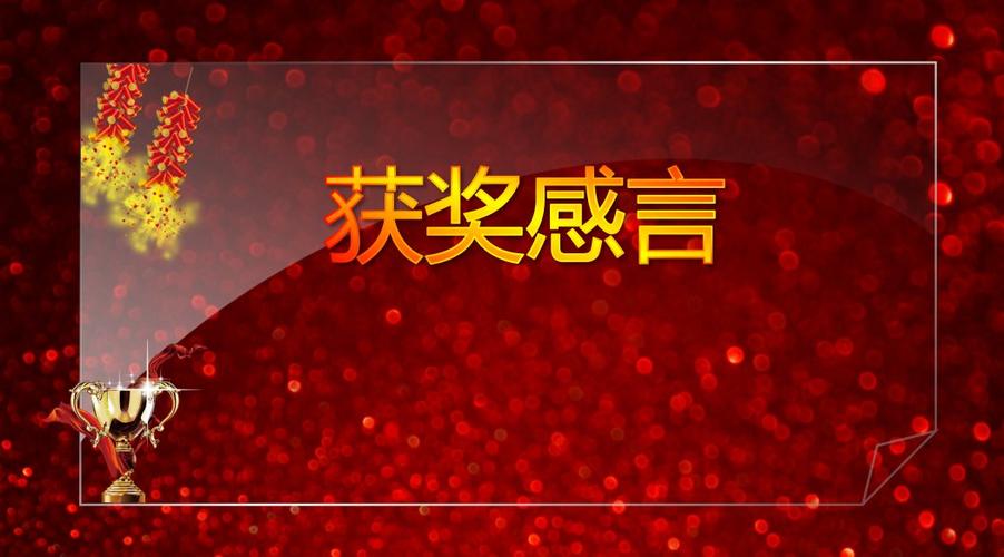获奖感言——优秀奖获得者说文/张继成
