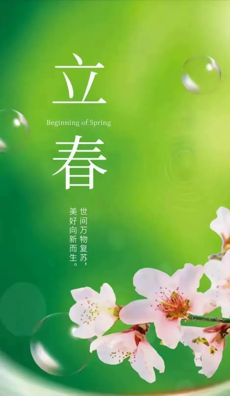 七律·乙巳立春吟（文/邹晓华）……莲叶之珠文学社