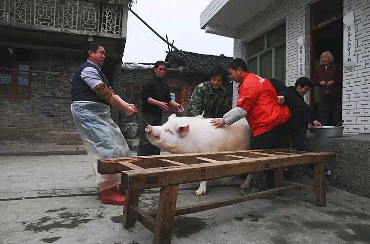 《杀猪请客》 吉耀国/诗（图3）
