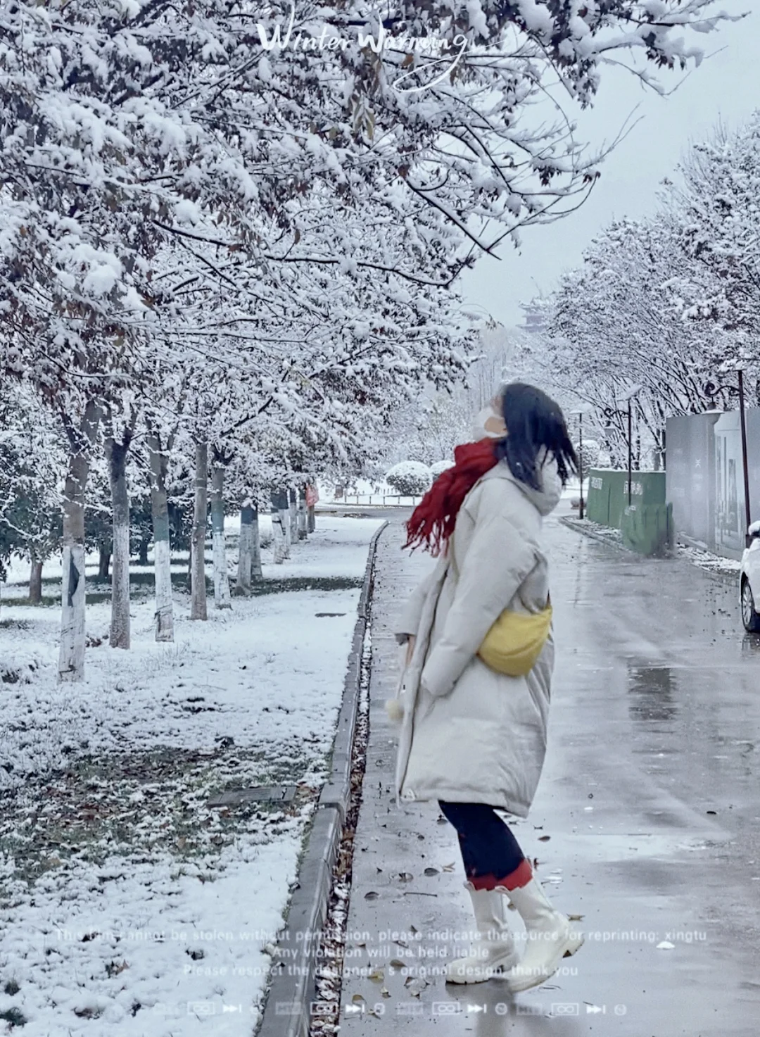 东方书剑的《山花子·蛇年初雪》