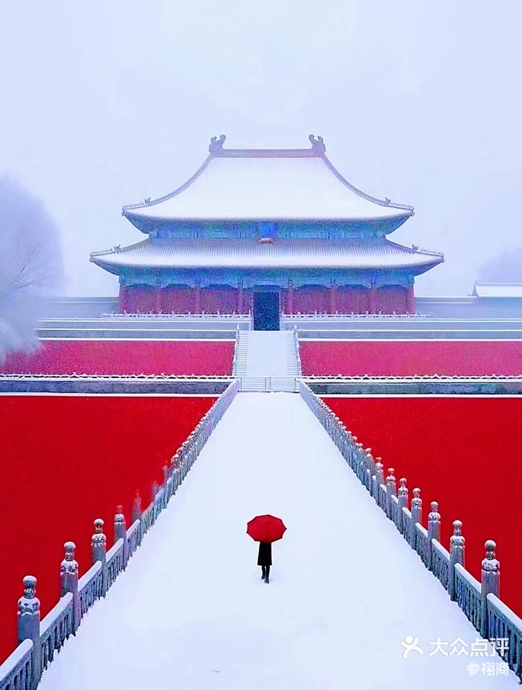 谯达摩：《据说今天晚上北京有雪》海外头条（图5）