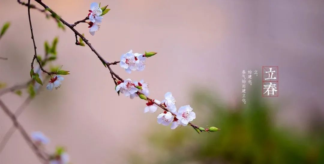 http://mmbiz.qpic.cn/mmbiz_jpg/miaXDIs5obJ7cZrVrnEviaZI0aUAlFj79FobMgQclZmcYtMB1icINSbK7jfQz33ME9icW3TV0TvBlUlCqodhOnF4TQ/0 图片