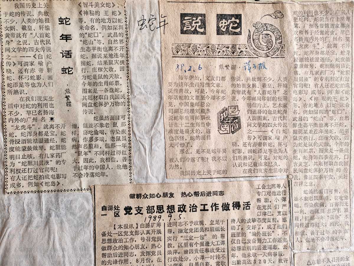 蛇 年 话 蛇（图4）