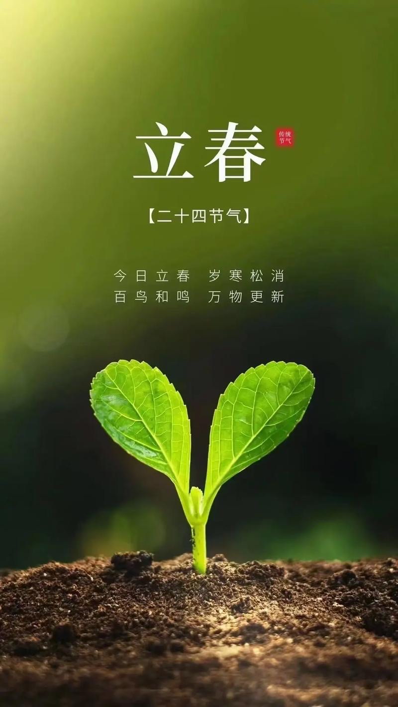 巜立春》（外一首）海外头条（图5）