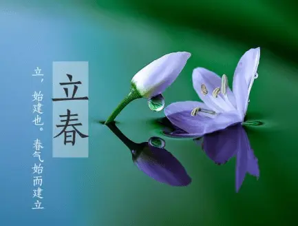 立春诗词选/中华诗艺黑龙江分社【2025第079期】(图12)