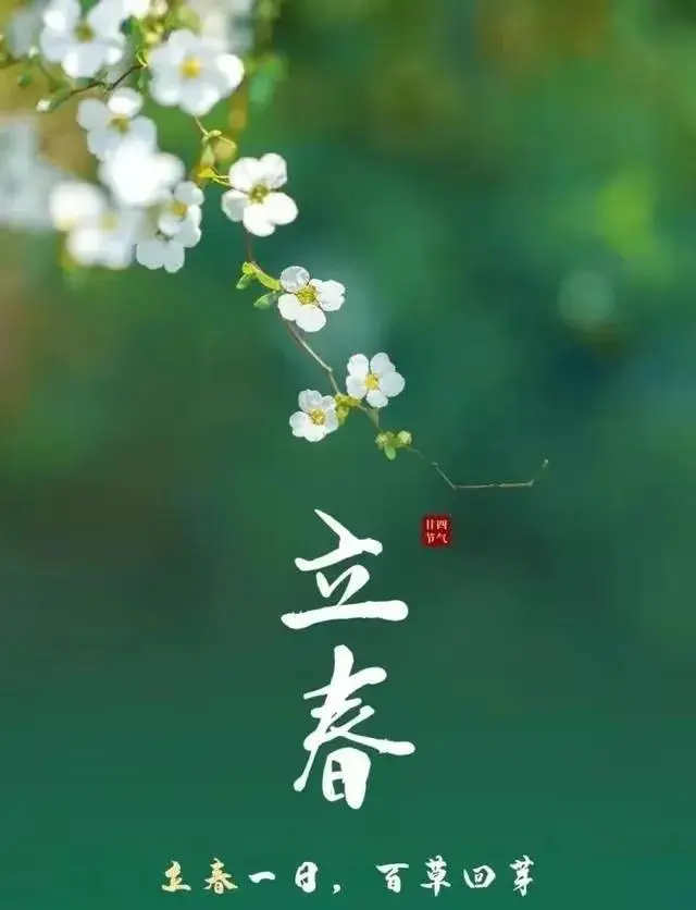 立春诗词选/中华诗艺黑龙江分社【2025第079期】(图16)