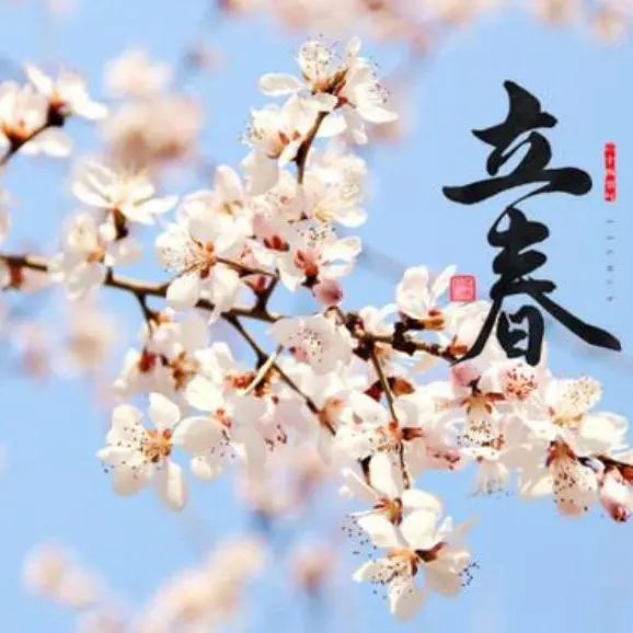 立春诗词选/中华诗艺黑龙江分社【2025第079期】(图17)