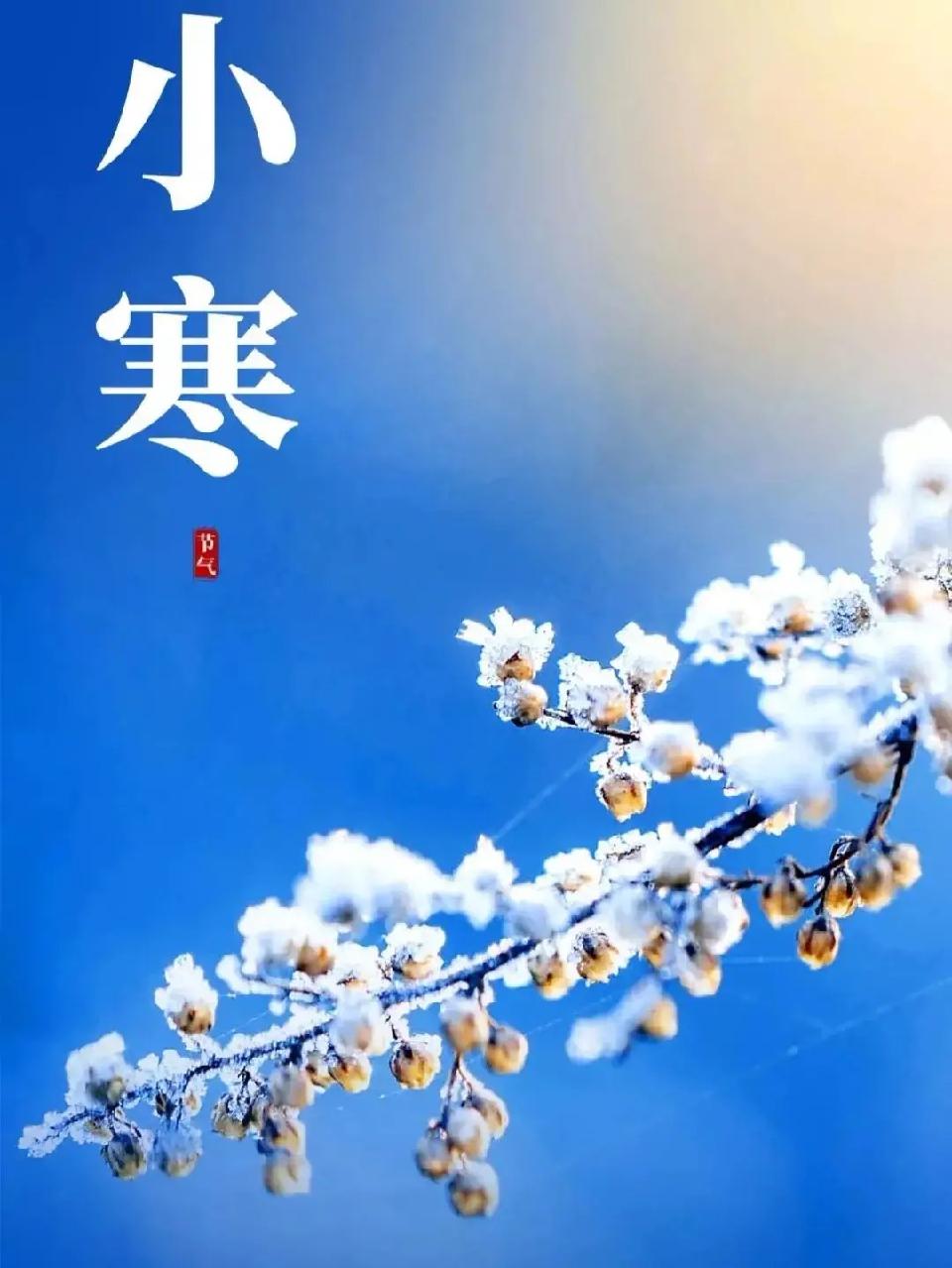 现代自由诗九首：作者||曾振华｜海外头条（图8）