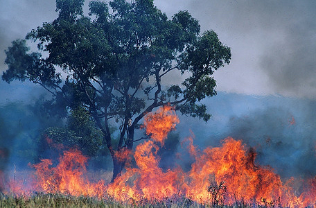 现代自由诗九首：作者||曾振华｜海外头条（图12）