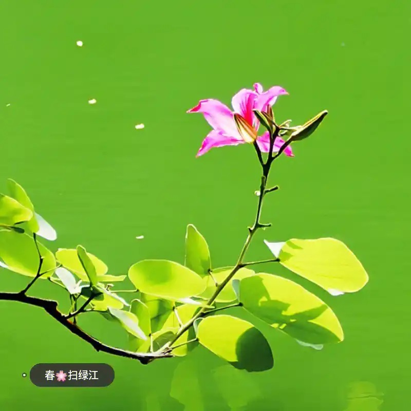 现代自由诗九首：作者||曾振华｜海外头条（图14）
