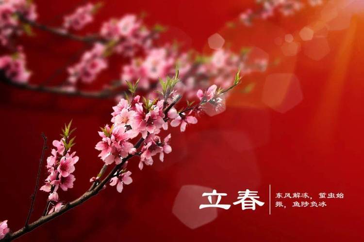 【新春感怀】鲁坡//七律•人勤春早[七律•人寿年丰]（图9）