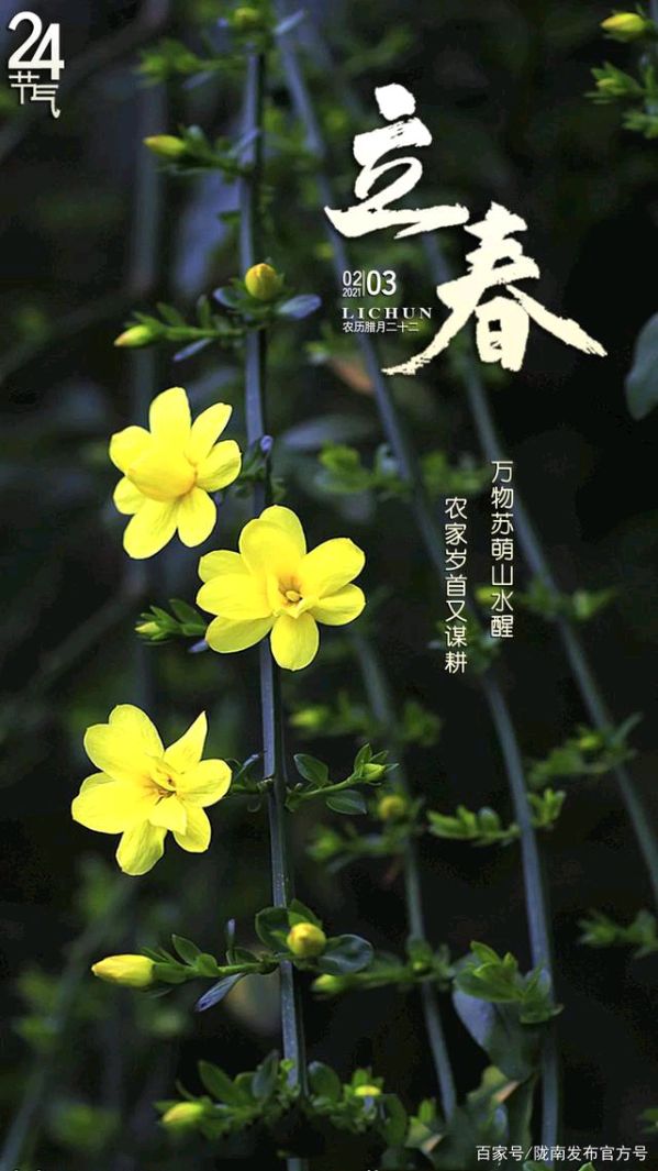 刘林丽诗歌作品《春的脚步》主播/友友（图5）