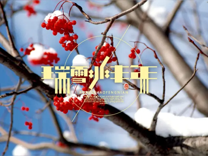 中外汉俳春节联欢同写《迎蛇年》第1~2期 京津沪头条（图25）