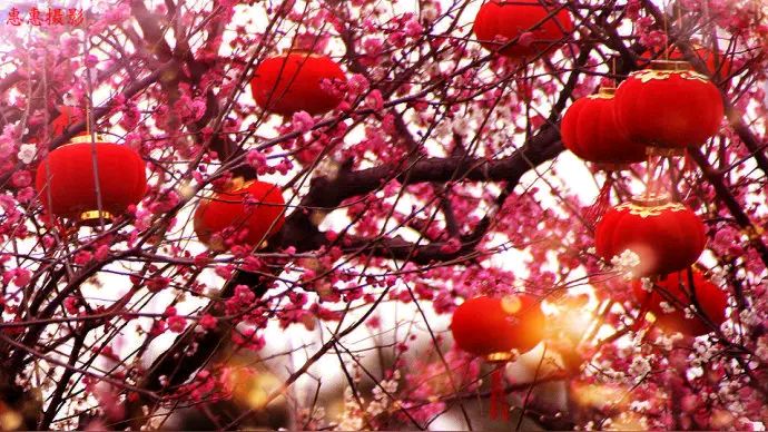 中外汉俳春节联欢同写《迎蛇年》第1~2期 京津沪头条（图23）