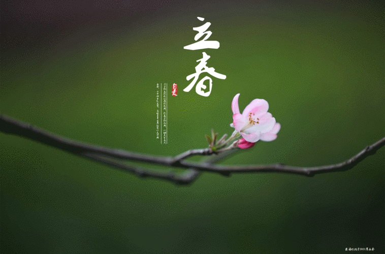 推荐隆化诗人秋水长天《七律·立春》（图2）