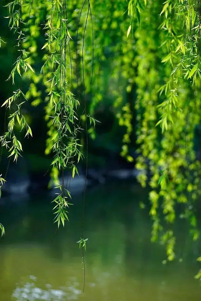 陈正的《春天来了》（十首）（图8）