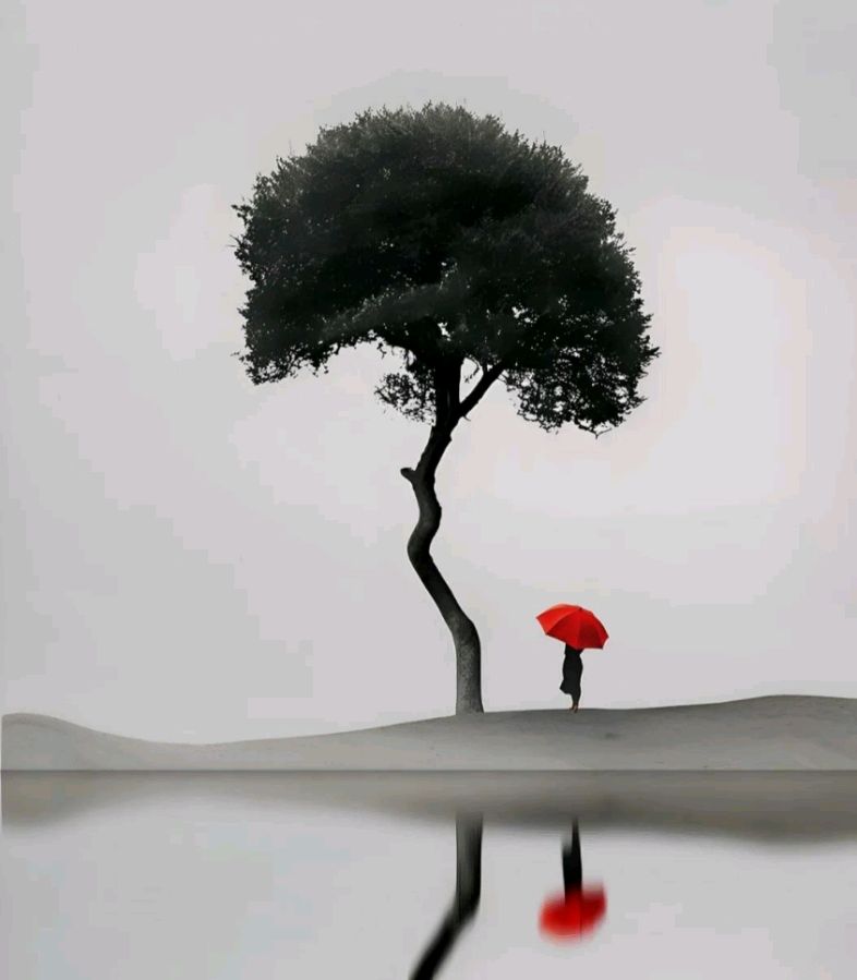 献给三八节(组诗) ◎红榜作家 蔡明治