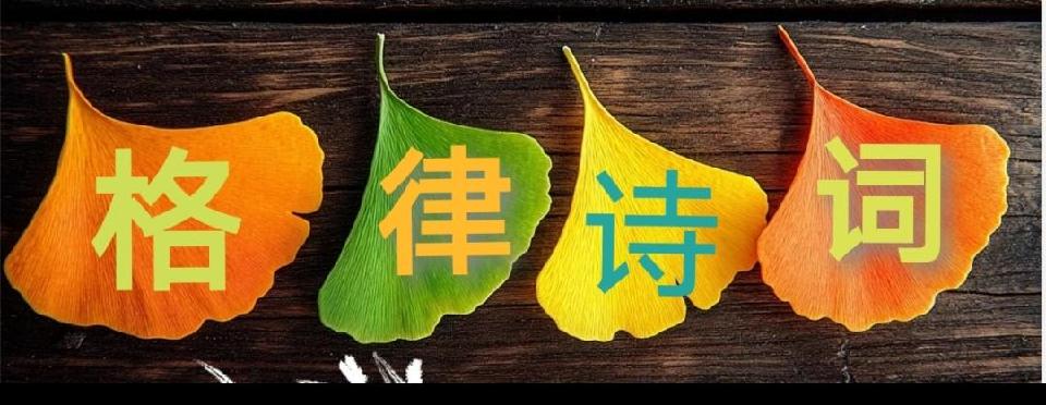 【国风燕赵诗社】亢仁才老师格律诗词个人专辑2025年一月刊！（图11）
