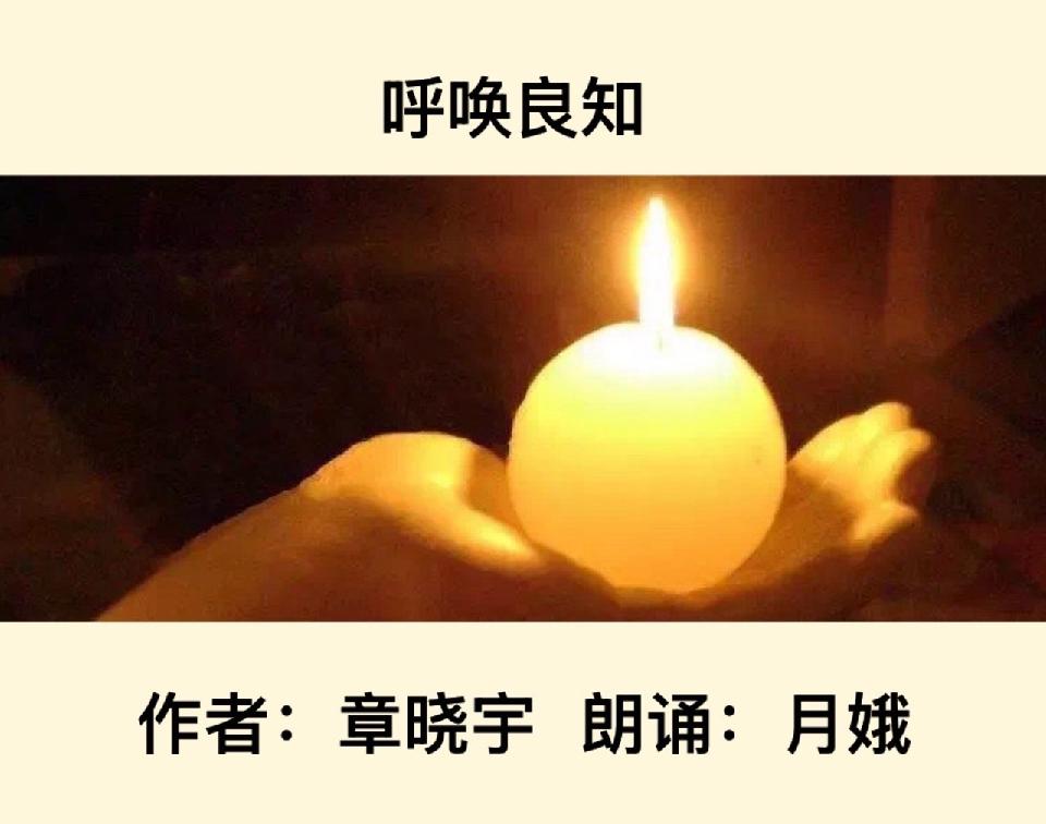 【卓然艺术联盟】呼唤良知｜作者：章晓宇 朗诵：月娥（总2475期）（图5）
