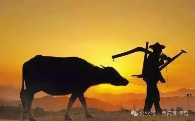 凤翔作家曹权利‖吴万哲《大山忆——我的父亲吴彦文》叙事艺术与主题意蕴探析/转自公众号:西府新传奇(图3)