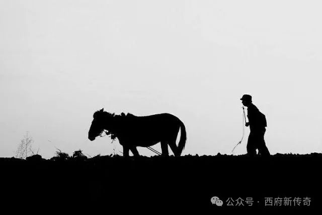 凤翔作家曹权利‖吴万哲《大山忆——我的父亲吴彦文》叙事艺术与主题意蕴探析/转自公众号:西府新传奇(图7)