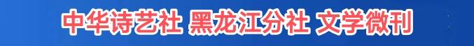 龙江文学联盟合刊/中华诗艺社黑龙江分社推荐【2025第085期】（图8）
